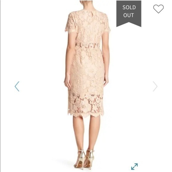 NSR Lace Floral Short Sleeve Sheath Midi Dress - Picture 2 of 9